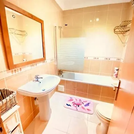Flamingos With 2 Swimming Pool Com Check In E Check Out Ao Domingo Em Julho E Agosto 阿尔布费拉