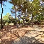 Apartman Flamingos With 2 Swimming Pool Com Check In E Check Out Ao Domingo Em Julho E Agosto Albufeira